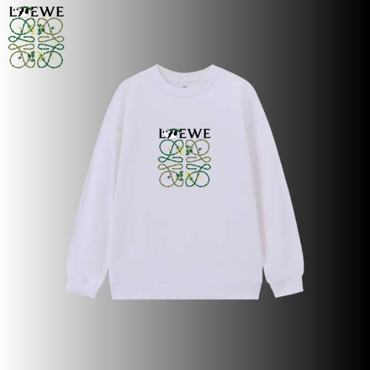 Picture of Loewe  Sweatshirt _SKULoeweS-2XLxetr12533630
